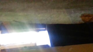 Շիկահեր ճուտիկը քոլե ...